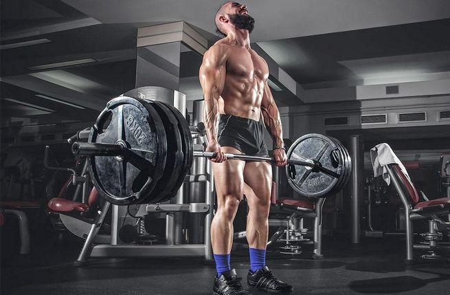 Synthol: Cómo Obtener y Usar de Forma Segura Synthol: Cómo Obtener y Usar de Forma Segura